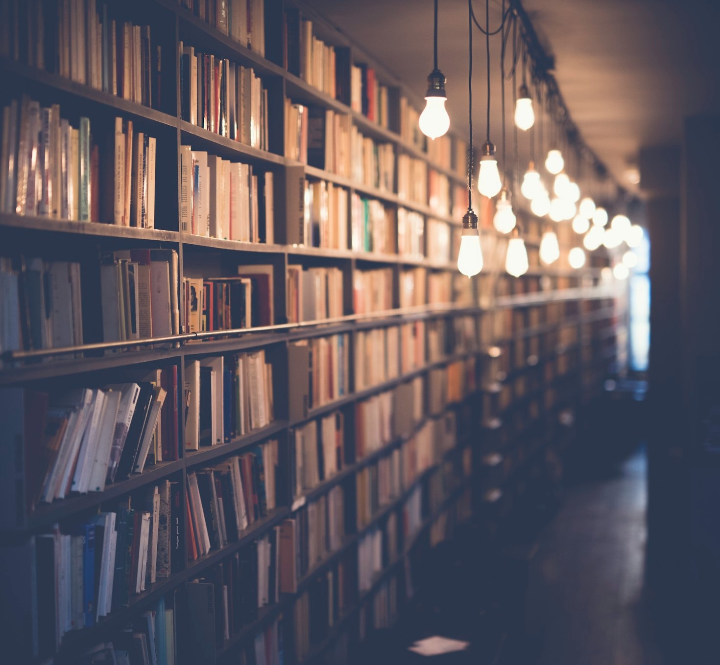 Interdisciplinaridade no estudo de fenômenos globais