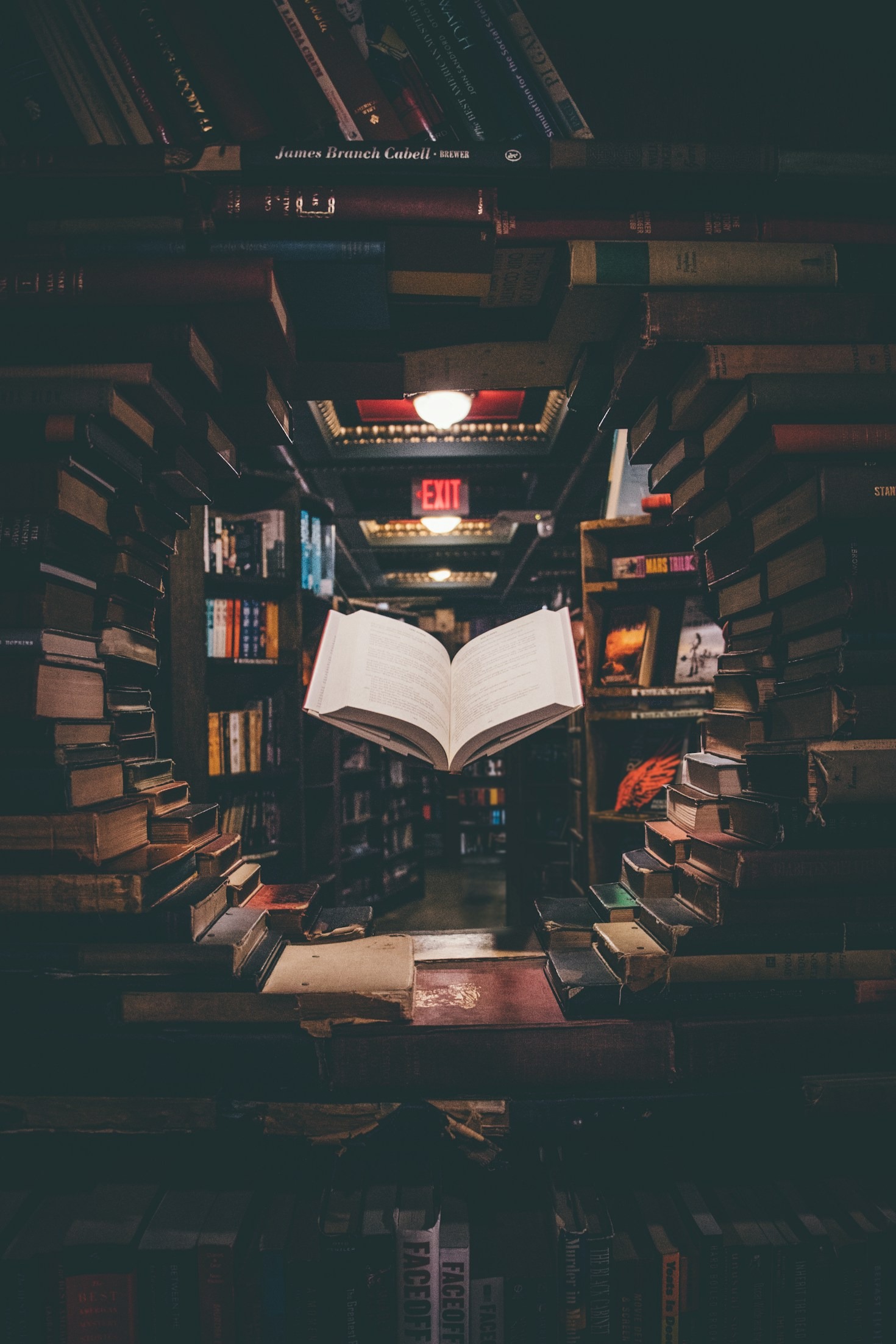Cultura e política: um reflexo da sociedade